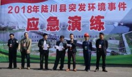 广西陆川县爆料事件最新,揭开背后真相，探寻事件真相与影响